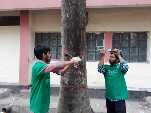 Nail removal of Trees at CMC Hospital