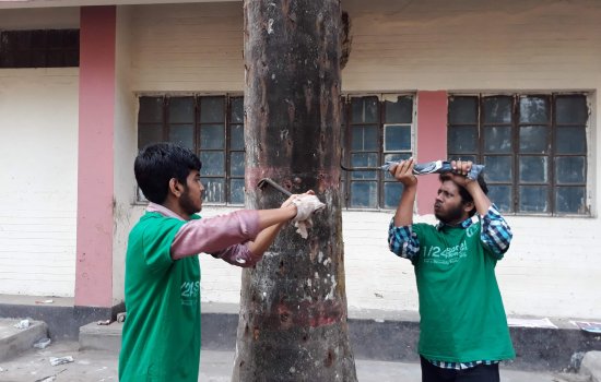 Nail removal of Trees at CMC Hospital