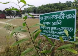 Environment Wing